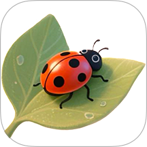 3D昆虫记官网版v2.2截图6