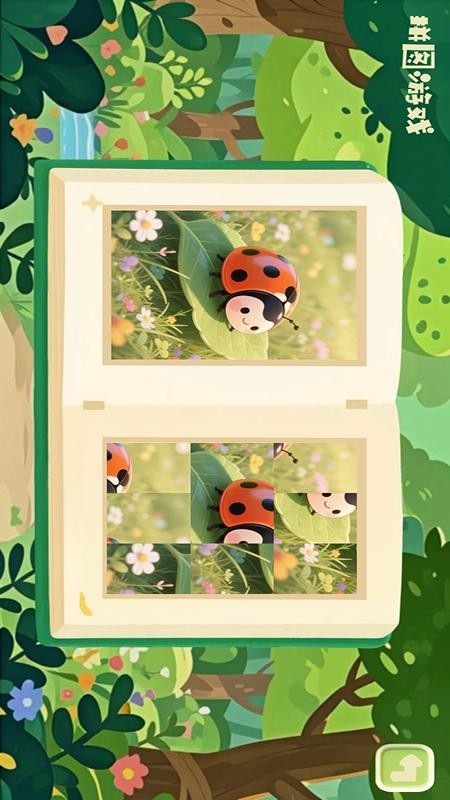 3D昆虫记官网版v2.2截图5