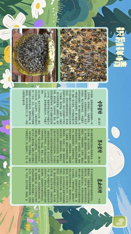 3D昆虫记官网版v2.2截图4