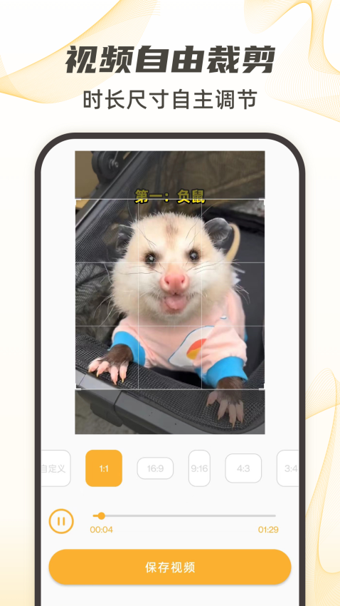 视频下载手机版v20截图1