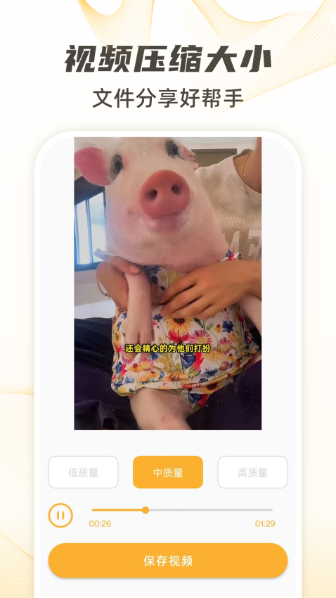 视频下载手机版v20截图4