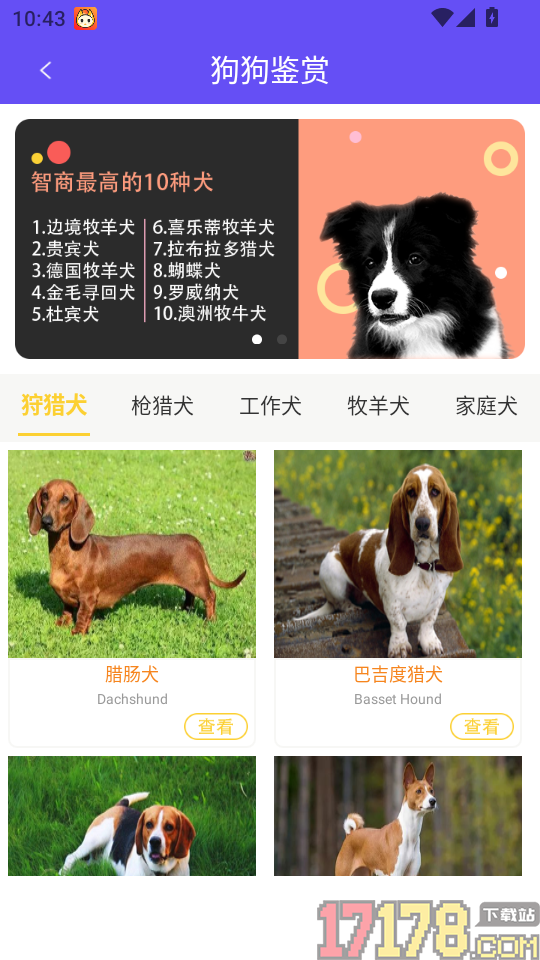 萌宠猫狗交流器app