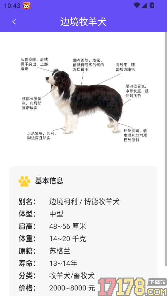 萌宠猫狗交流器app