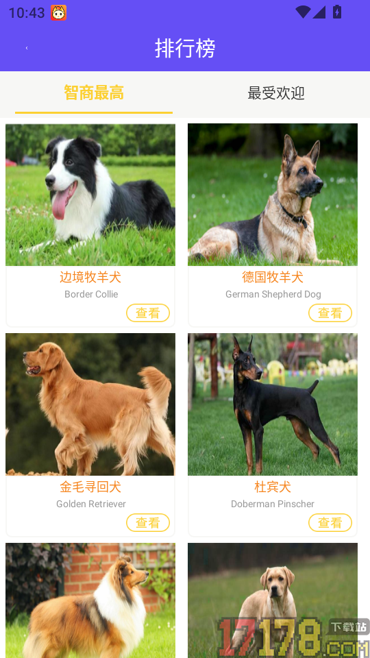 萌宠猫狗交流器app