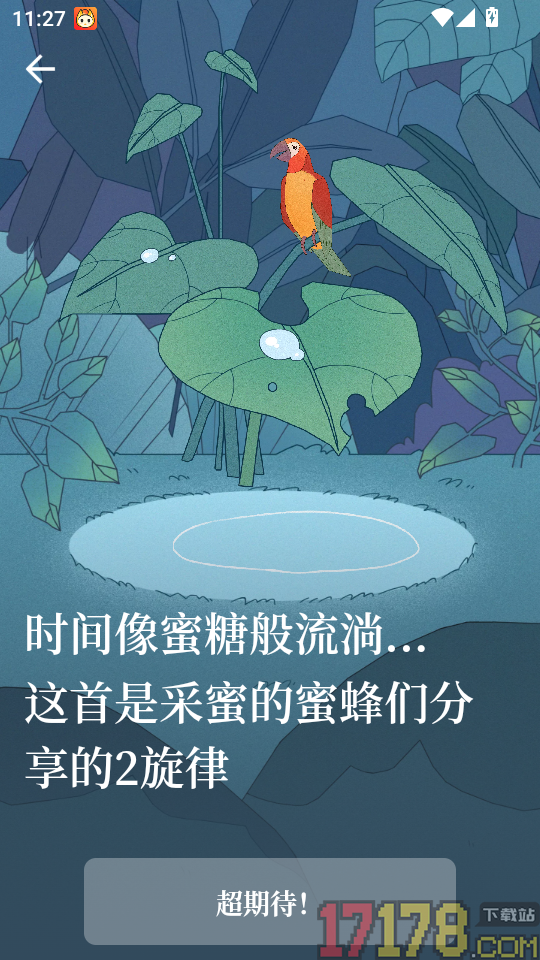 孤独的鸟儿正版