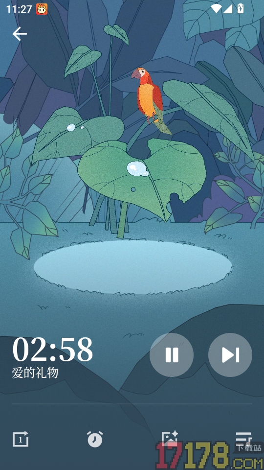 孤独的鸟儿正版