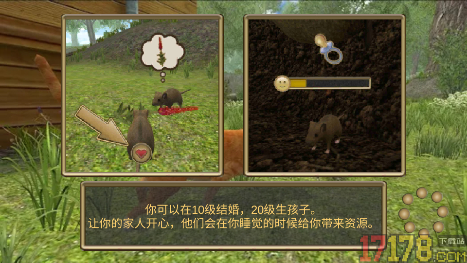 老鼠生存进化模拟器手游