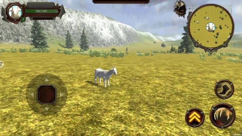 狂野动物模拟手游v1.0截图1