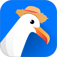 海鸥出海官网版 v1.1.3