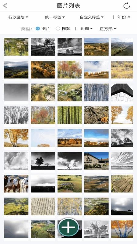 哪拍手机版v3.1.3截图2