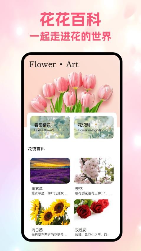 风信官网版v1.3截图1