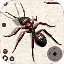 挖地我最溜手游 v1.4.0