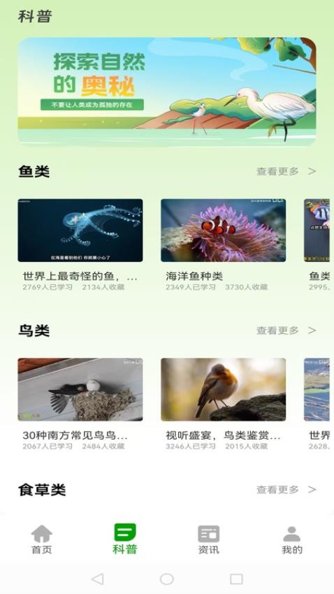 动物世界大全最新版v1.0.1截图2