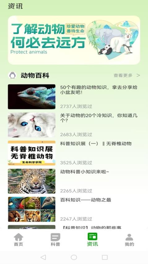 动物世界大全最新版v1.0.1截图3