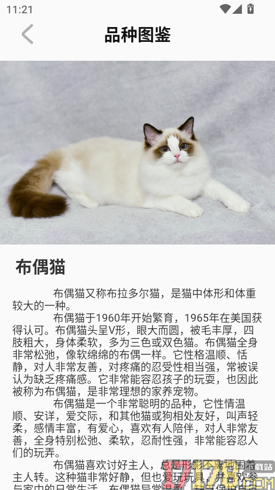 动物世界大全最新版