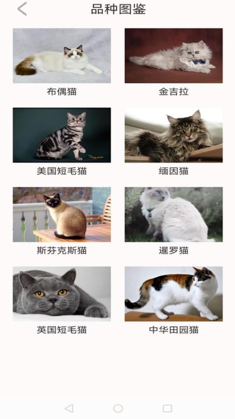 动物世界大全最新版v1.0.1截图4