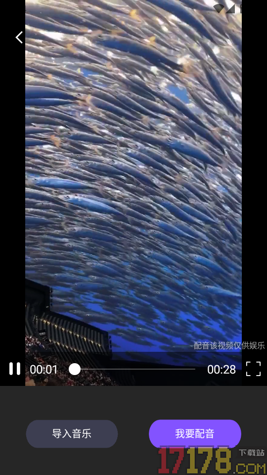 猫狗恋爱旧版本