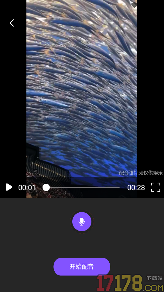 猫狗恋爱旧版本