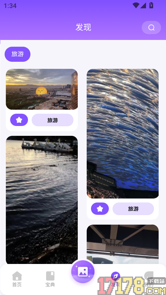 猫狗恋爱旧版本