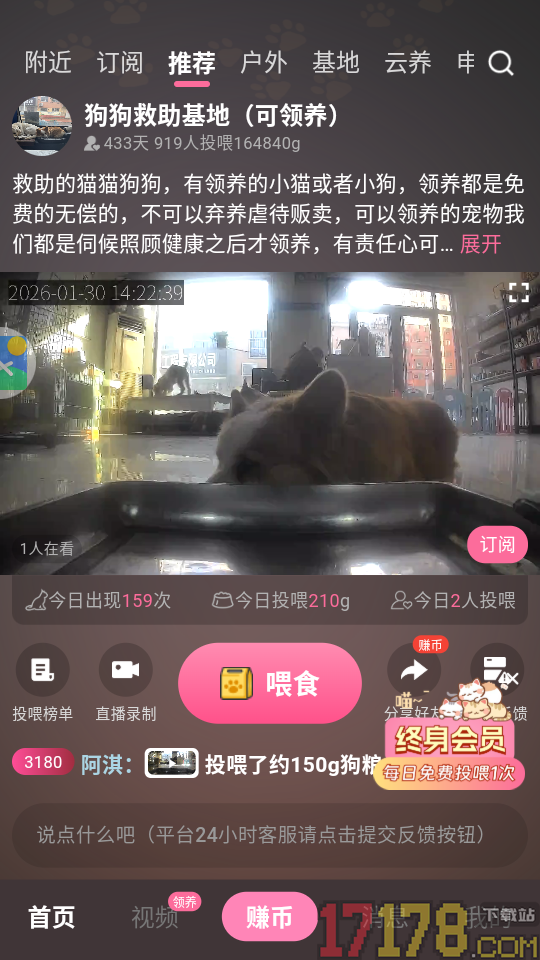 途猫官方版