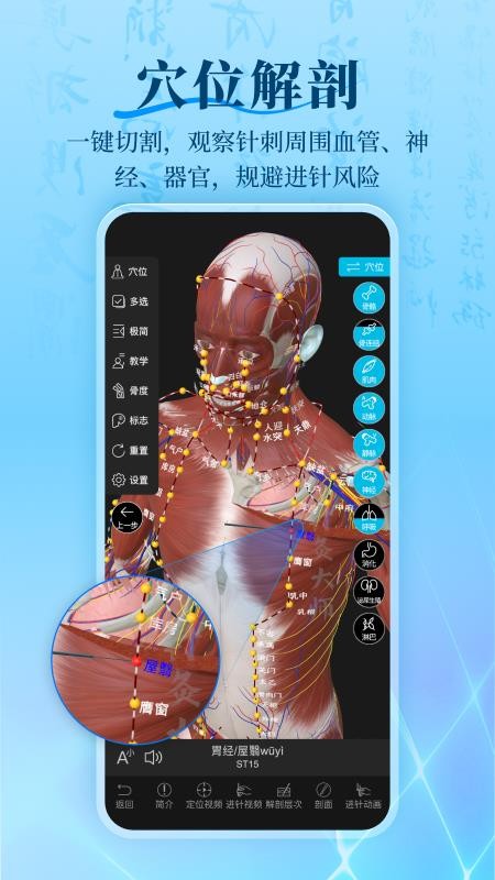 针灸大师官网版v3.5.0截图2