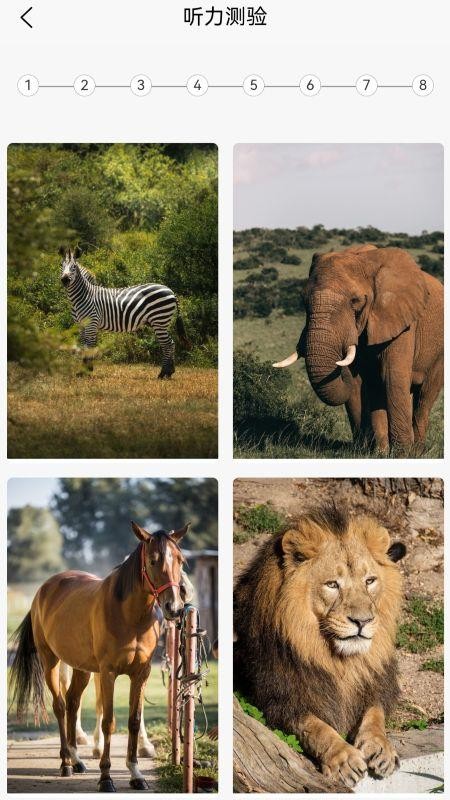 英语分级兔官网版v1.2.6截图3