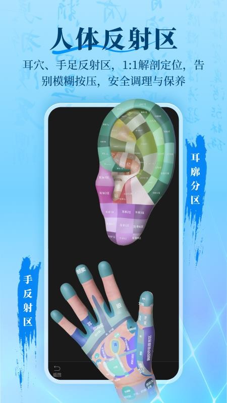 针灸大师官网版v3.5.0截图4