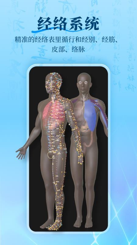 针灸大师官网版v3.5.0截图3