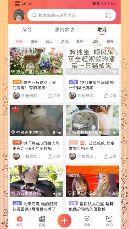 懒洋葱最新版本v1.7.0截图2