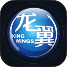 掌上龙翼官方版 v3.1.7