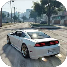 汽车城市模拟驾驶手游 v1.0.1