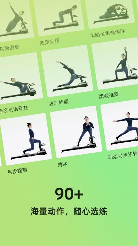 roulistic flex手机版