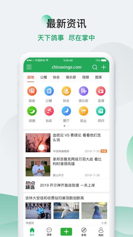 中信网信鸽信息网手机版v20260206截图1