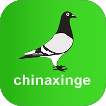 中信网信鸽信息网手机版 v20260206