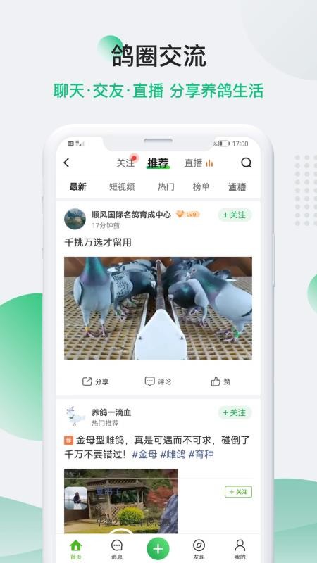 中信网信鸽信息网手机版v20260206截图2