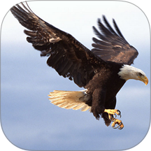 思归手机版 v2.3.9