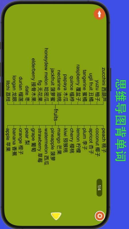 河马背单词appv8.3截图3