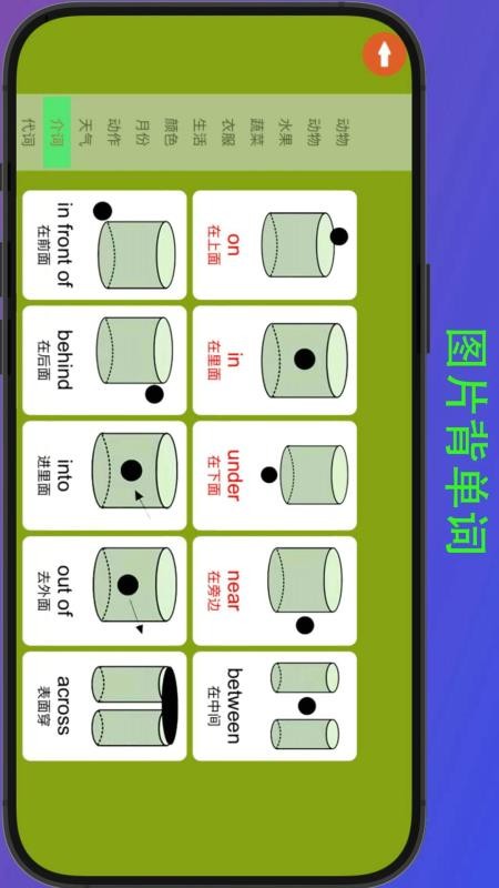 河马背单词appv8.3截图2