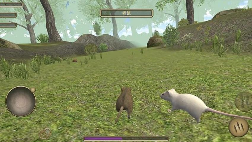 小老鼠冒险模拟手游v1.0.0截图3