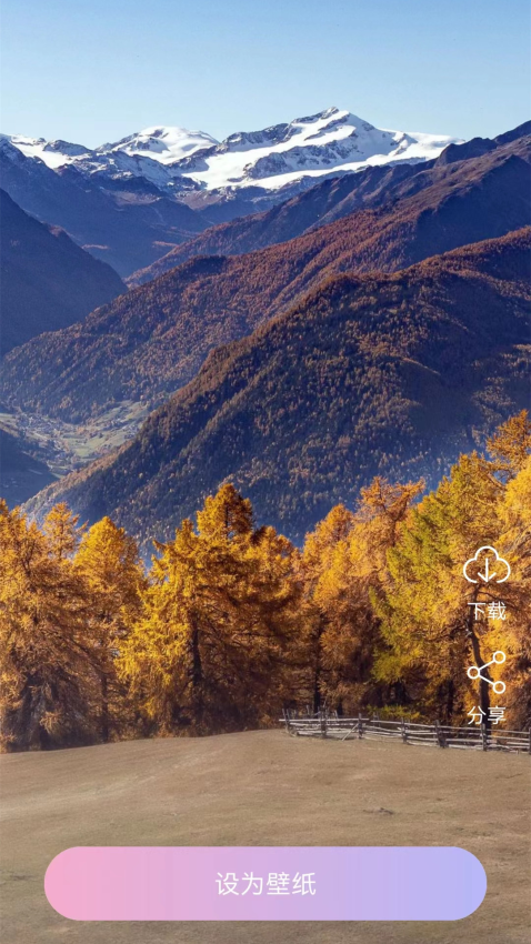 星空视频壁纸app官方版v1.6截图3