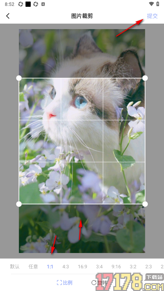 早安心语手机版设置在海报中添加图片的方法