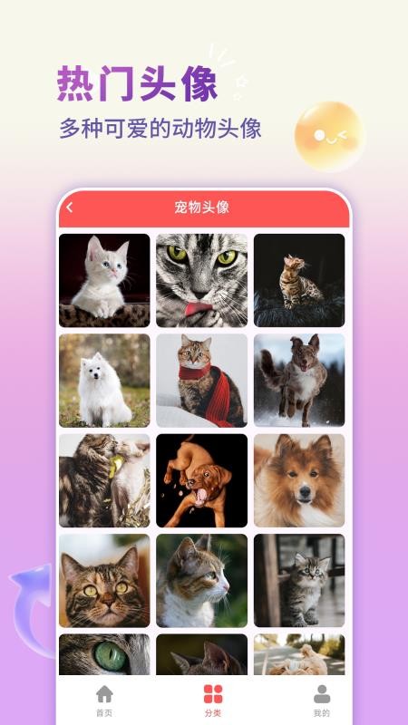 手机壁纸君appv1.0.0截图3
