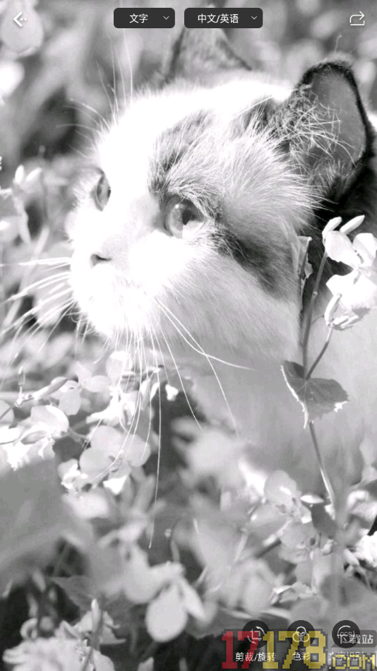 白描手机版设置将图片变成灰色图片的方法