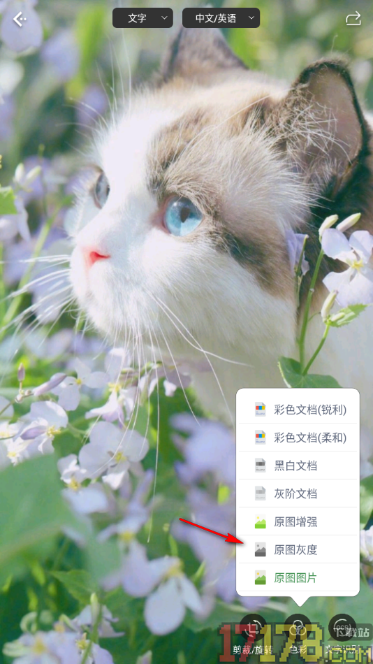 白描手机版设置将图片变成灰色图片的方法