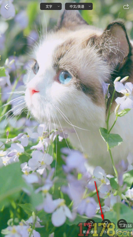 白描手机版设置将图片变成灰色图片的方法