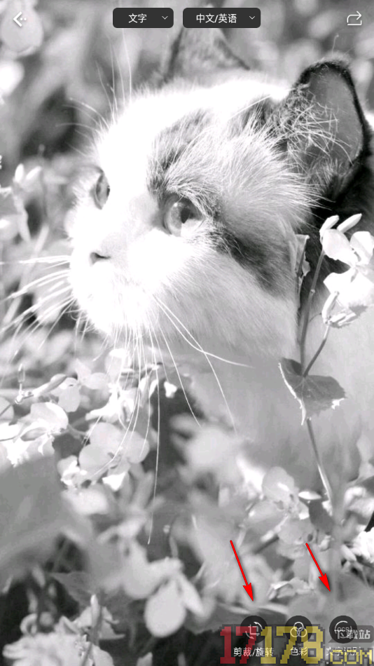 白描手机版设置将图片变成灰色图片的方法