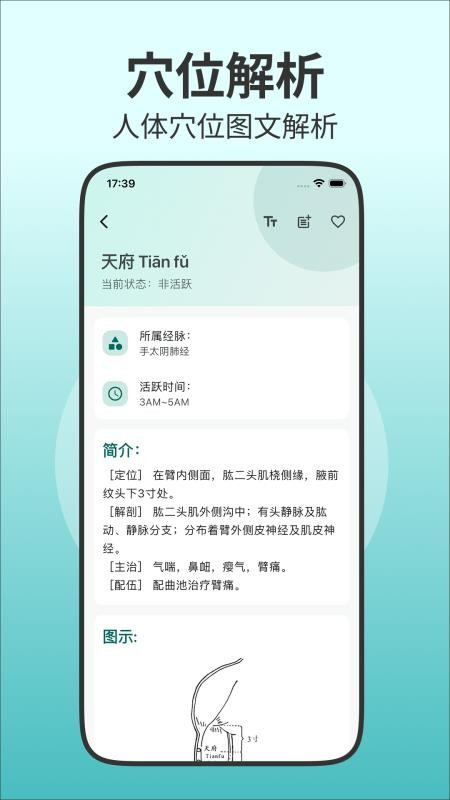 人体穴位图解appv3.2.0截图2
