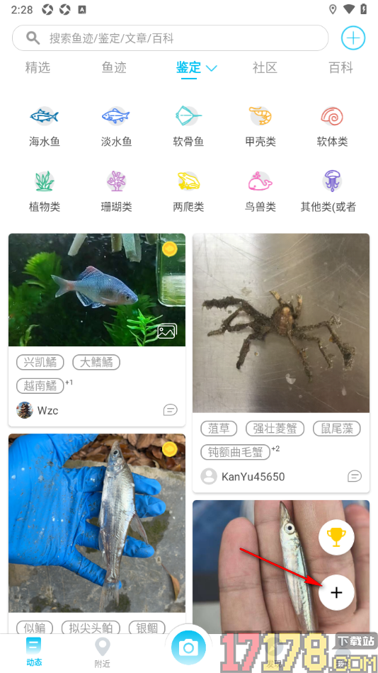 看鱼手机版发布鉴定动态的方法