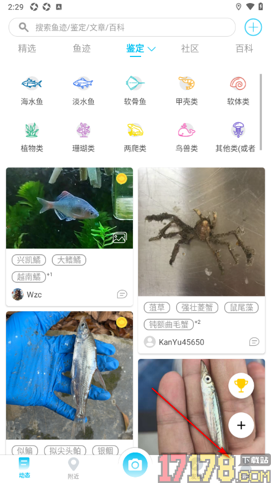 看鱼手机版设置允许保存所拍照片到相册的方法