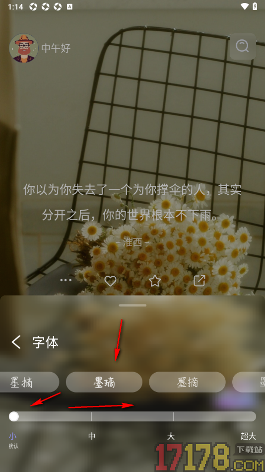 墨摘手机版设置更改字体样式和大小的方法